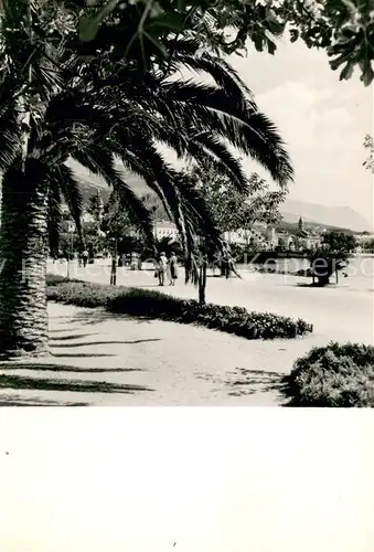 AK / Ansichtskarte Makarska_Dalmatien Promenade Palmen Makarska Dalmatien