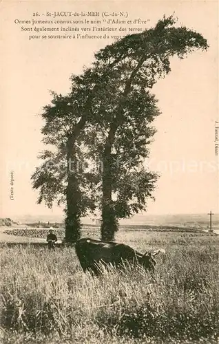 AK / Ansichtskarte Saint Jacut de la Mer Ormes jumeaux connus sous le nom "d Adam et d Eve" Saint Jacut de la Mer