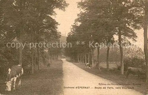 AK / Ansichtskarte Epernay_Marne Route de Paris vers Boursault Epernay Marne