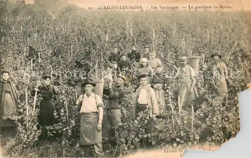 AK / Ansichtskarte Salins les Bains Les Vendanges La cueillette du Raisin Salins les Bains