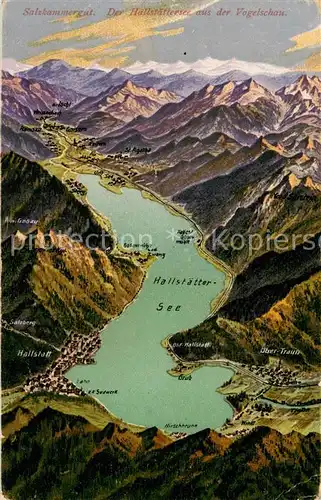 AK / Ansichtskarte Hallstatt_Salzkammergut Hallstaettersee Alpen aus der Vogelschau Hallstatt_Salzkammergut