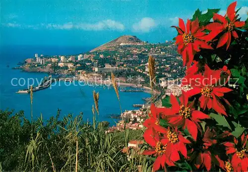 AK / Ansichtskarte Funchal Panorama Blick von Westen Funchal