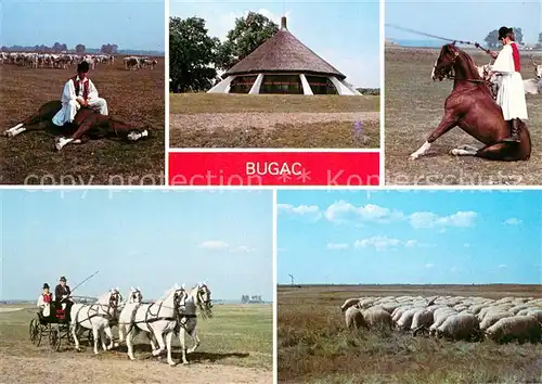 AK / Ansichtskarte Bugac Bugacpuszta Teilansichten Bugac