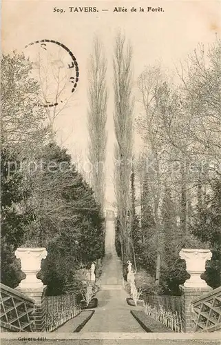 AK / Ansichtskarte Tavers Allee de la foret Tavers
