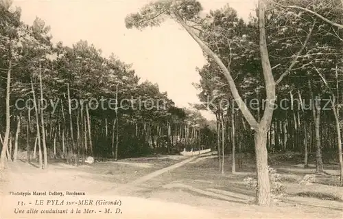 AK / Ansichtskarte Le_Pyla_sur_Mer Une allee conduisant a la mer Le_Pyla_sur_Mer