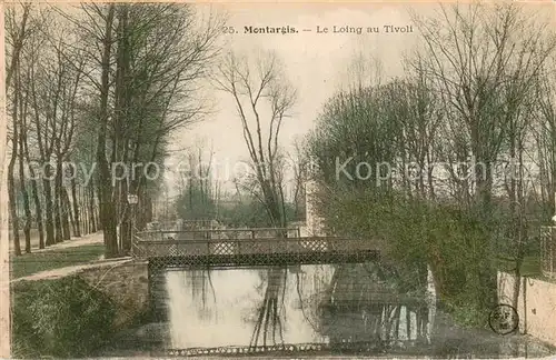 AK / Ansichtskarte Montargis_Loiret Le Loing au Tivoli Montargis Loiret