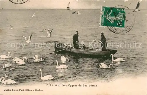 AK / Ansichtskarte Evian les Bains_Haute_Savoie Les cygnes du Lac Leman Evian les Bains_Haute