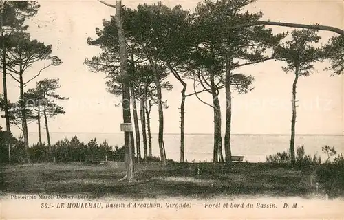 AK / Ansichtskarte Le_Moulleau Foret et bord du Bassin Le_Moulleau