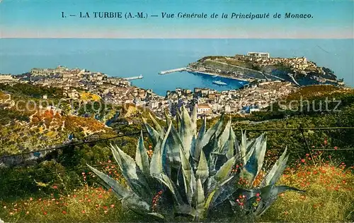 AK / Ansichtskarte La_Turbie Vue generale de la Principaute de Monaco La_Turbie