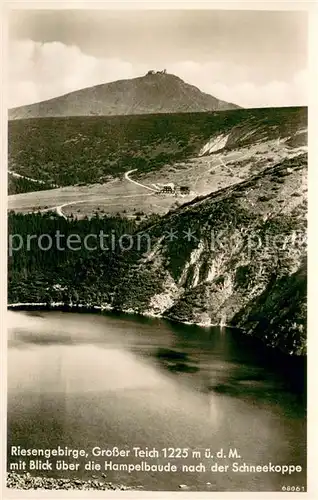 AK / Ansichtskarte Riesengebirge Grosser Teich mit Blick ueber die Hampelbaude zur Schneekoppe Riesengebirge