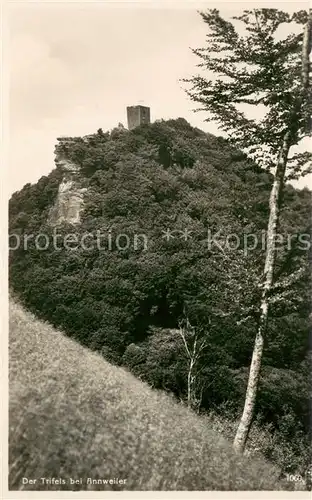 AK / Ansichtskarte Annweiler_Trifels Der Trifels Annweiler_Trifels