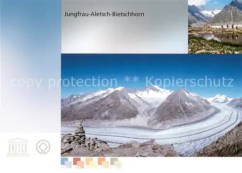 AK / Ansichtskarte Gletscher Jungfrau Aletsch Bietschhorn  