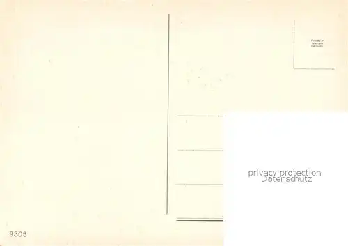 AK / Ansichtskarte Hunde Pudel 