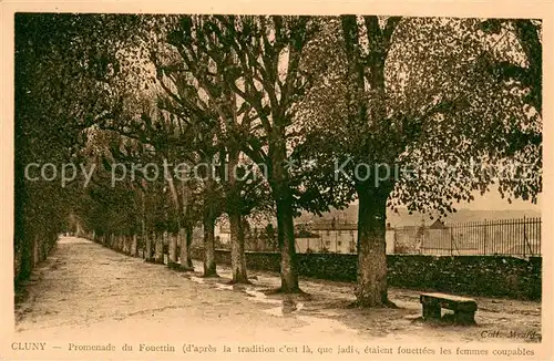 AK / Ansichtskarte Cluny Promenade du Fouettin Allee Cluny