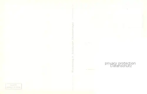 AK / Ansichtskarte Walchensee Panorama Walchensee