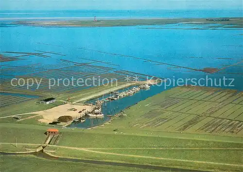 AK / Ansichtskarte Eiderstedt Fischerei und Jachthafen Tuemlauer Koog Fliegeraufnahme  Eiderstedt