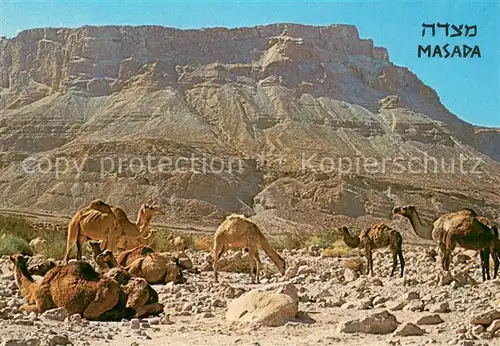 AK / Ansichtskarte Masada Ruins of a fortress at the Dead Sea Masada