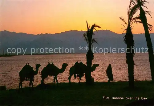 AK / Ansichtskarte Eilat Sunrise over the bay Eilat