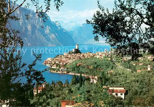 AK / Ansichtskarte Malcesine_Lago_di_Garda Panorama Malcesine_Lago_di_Garda