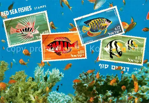 AK / Ansichtskarte Briefmarke_auf_Ak Israel Red Sea Fishes  Briefmarke_auf_Ak