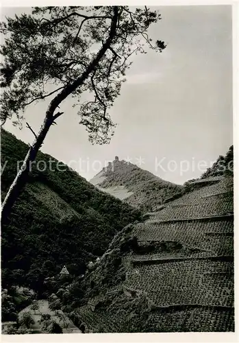 AK / Ansichtskarte Cochem_Mosel Die Winneburg im Endertal Cochem Mosel