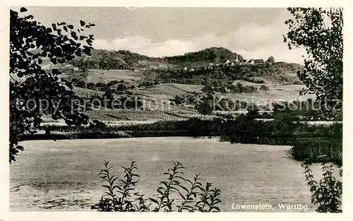 AK / Ansichtskarte Loewenstein Panorama Loewenstein