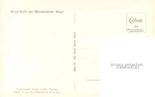 AK / Ansichtskarte Daun_Eifel Panorama Weinfelder Maar Daun_Eifel