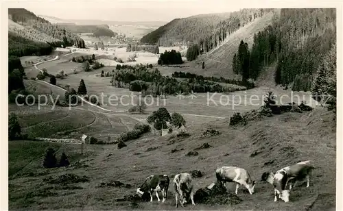 AK / Ansichtskarte Lenzkirch Panorama Lenzkirch