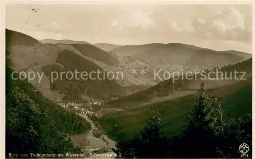 AK / Ansichtskarte Todtnauberg Blick ins Wiesental Todtnauberg