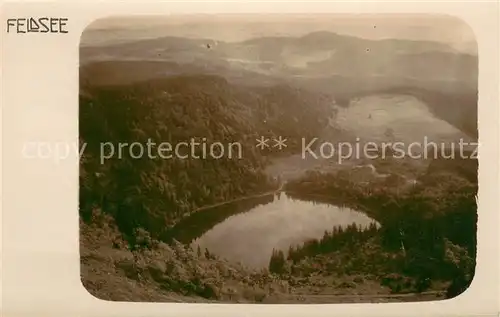 AK / Ansichtskarte Feldberg_Schwarzwald mit Feldsee Feldberg Schwarzwald