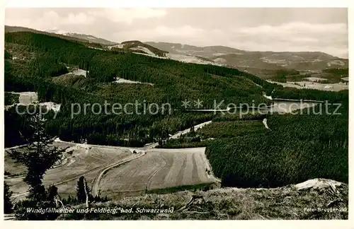 AK / Ansichtskarte Feldberg_Schwarzwald mit Windgfaellweiher Feldberg Schwarzwald