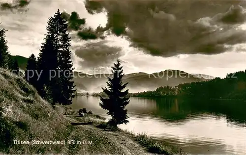 AK / Ansichtskarte Titisee Panorama Titisee