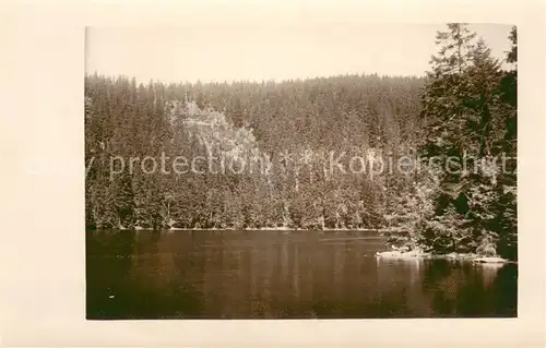 AK / Ansichtskarte Mummelsee Panorama Mummelsee