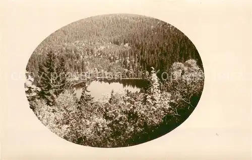 AK / Ansichtskarte Mummelsee Panorama Mummelsee