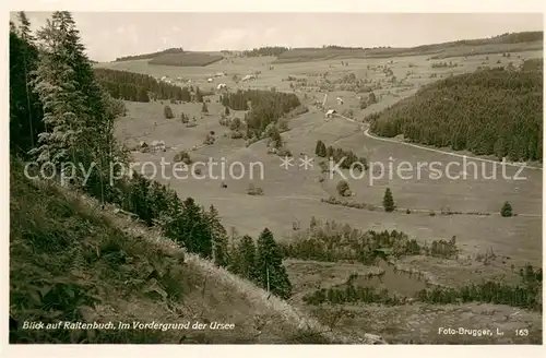 AK / Ansichtskarte Raitenbuch_Lenzkirch Panorama mit Ursee Raitenbuch_Lenzkirch