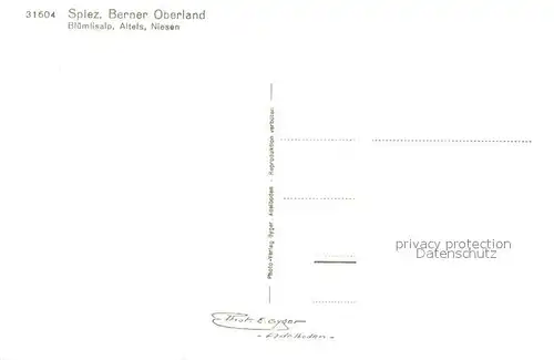 AK / Ansichtskarte Spiez_Thunersee_BE mit Bluemlisalp Altels Niesen Spiez_Thunersee_BE