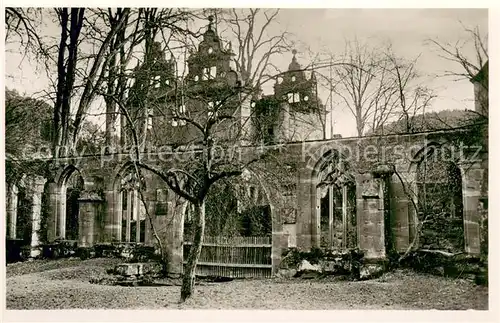 AK / Ansichtskarte Hirsau Kloster Kreuzgang mit Schlossruine und Ulme Hirsau