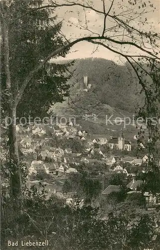 AK / Ansichtskarte Bad_Liebenzell Panorama Bad_Liebenzell