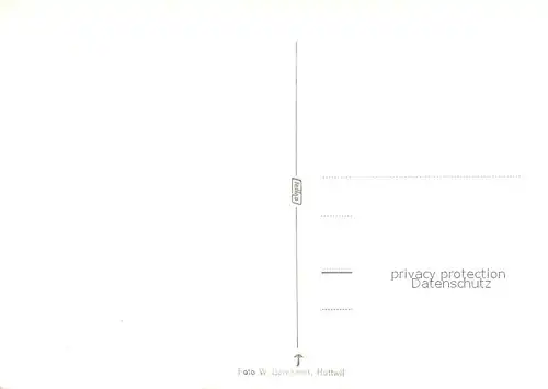 AK / Ansichtskarte Vicosoprano Panorama Vicosoprano