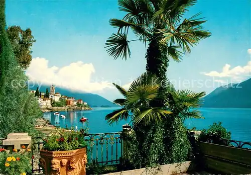 AK / Ansichtskarte Brissago_Lago_Maggiore Panorama Brissago_Lago_Maggiore