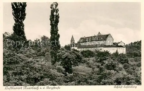 AK / Ansichtskarte Auerbach_Bergstrasse Schloss Schoenberg Auerbach_Bergstrasse