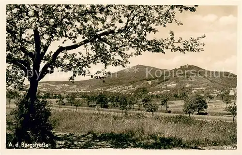 AK / Ansichtskarte Auerbach_Bergstrasse Landschaftspanorama Blick gegen Auerbacher Schloss und Melibokus Auerbach_Bergstrasse