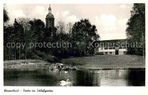 AK / Ansichtskarte Wiesentheid Partie im Schlossgarten Schwanenteich Wiesentheid
