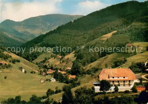 AK / Ansichtskarte Buerchau Berggasthof Pension Sonnhalde Buerchau