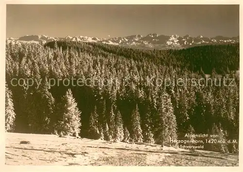 AK / Ansichtskarte Herzogenhorn Panorama Herzogenhorn