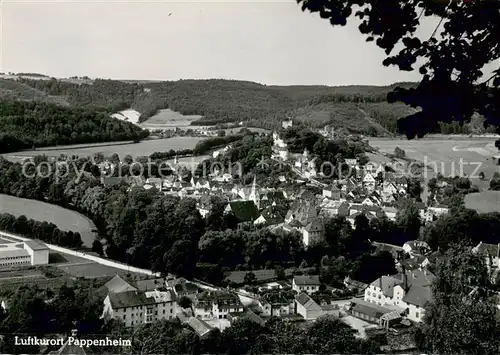 AK / Ansichtskarte Pappenheim_Mittelfranken Panorama Pappenheim Mittelfranken