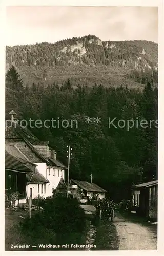 AK / Ansichtskarte Zwieslerwaldhaus Falkenstein Zwieslerwaldhaus