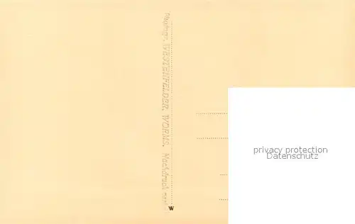 AK / Ansichtskarte Worms_Rhein Figuren aus Stein an den Fenstern des Doms Worms Rhein