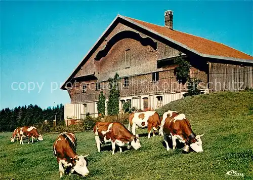 AK / Ansichtskarte Chauffaud Vieille ferme Franc Comtoise des vaches 