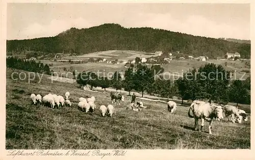 AK / Ansichtskarte Rabenstein_Zwiesel  Rabenstein_Zwiesel